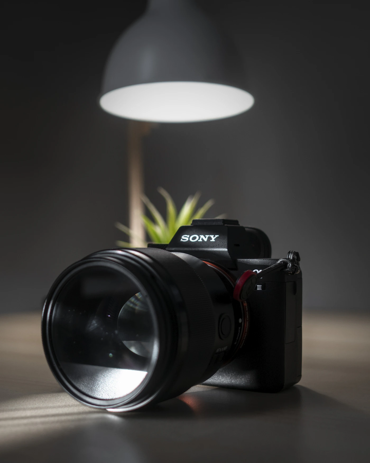 Máy ảnh Sony dưới ánh đèn studio